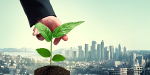 Socially Responsible Investing Guide 